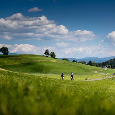 Gartenloft An Der Mur Murau Exteriör bild