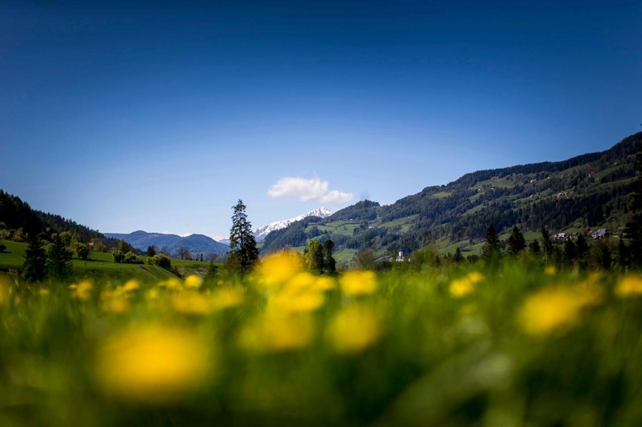 Gartenloft An Der Mur Murau Exteriör bild