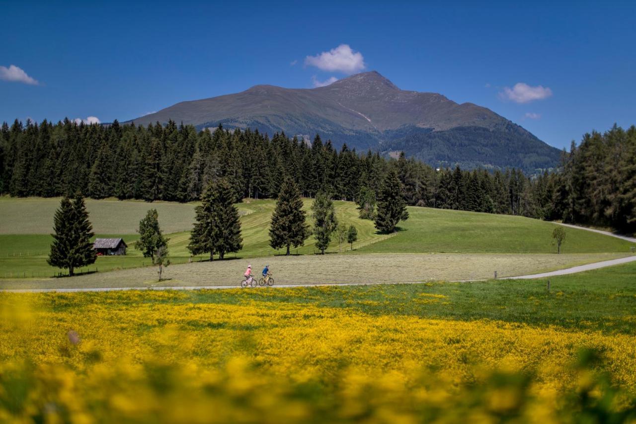Gartenloft An Der Mur Murau Exteriör bild